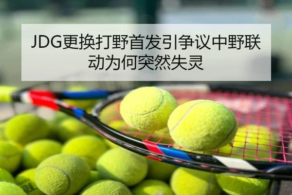JDG更换打野首发引争议中野联动为何突然失灵